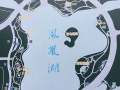 -桐乡凤凰湖