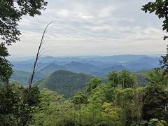 -莫干山风景区