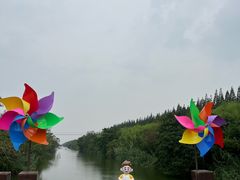 -黄海国家森林公园