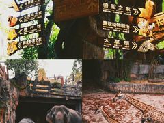 -长鹿旅游休博园