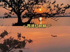 -深圳湾公园(南山区)