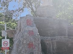 -大岭沟猕猴桃谷风景区