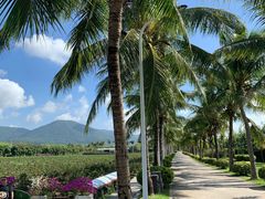 -亚龙湾国际玫瑰谷