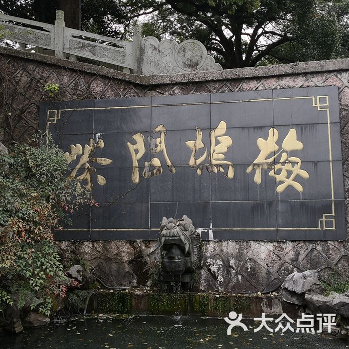 欣怡茶庄·梅家坞自家茶园