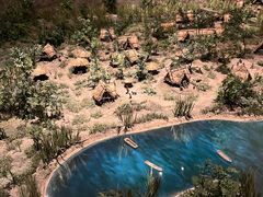 -上海崧泽遗址博物馆