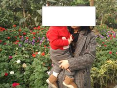 -南宫五洲植物乐园