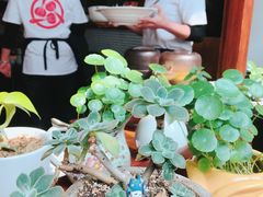 -铃木食堂(帽儿胡同店)