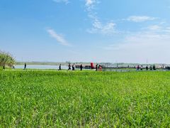 -宁波杭州湾国家湿地公园