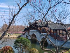 -上海海湾国家森林公园