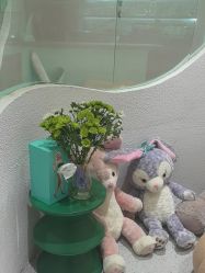 -薇薇安花系SPA