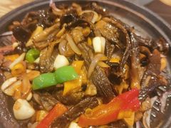 -草窝烤鸭·新京菜(振华广场店)