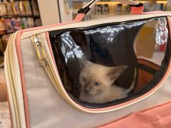 -贝康宠物医院·犬猫全科·小动物特色诊疗中心(东环路店)