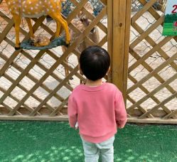 -萌宠亲子动物乐园(槐房万达店)