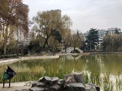-西安市长乐公园