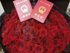 -海马体照相馆(成都来福士广场店)