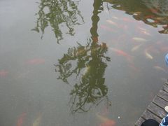 -苏州河梦清园环保主题公园