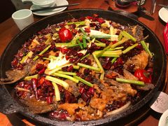 -老板恋上鱼(振华商厦店)