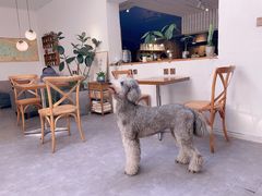 -沏点Trattoria意大利餐厅(新街口店)