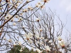 -成都市文化公园