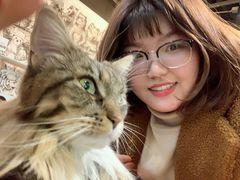 -猫小院猫主题餐厅(三里屯店)