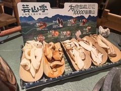 -芸山季·云南野生菌火锅(人民广场来福士店)