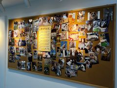 -翊宠yipet猫狗购宠庄园犬舍•猫舍