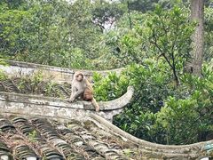 -黔灵山公园