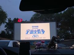 -枫花园汽车电影院(朝阳公园店)