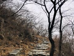 -阳台山自然风景区