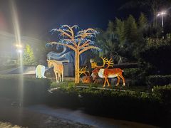 -上海玛雅海滩水公园