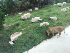-西安秦岭野生动物园