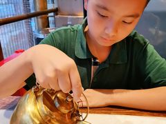 -小吊梨汤·北京菜·烤鸭(鸟巢店)