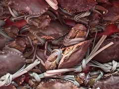 -老财炒饭·熟地蟹·冬瓜蟹