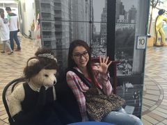 -济州岛泰迪熊博物馆