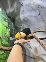 -Zoolung Zoolung动物主题公园(海信广场店)