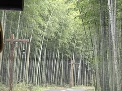 -天目湖涵田度假村