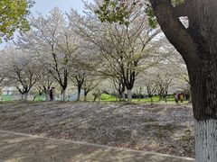 -南京邮电大学(仙林校区)