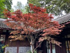 -成都杜甫草堂博物馆