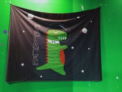 -恐龙探索乐园(磁器口店)