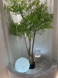 -VE专注问题肌·赛诺龙&科学美肤中心