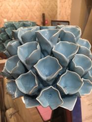 -佐登妮丝美容SPA生活馆