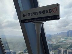 -星璞全日餐厅·高空自助餐(深铁铂尔曼酒店)
