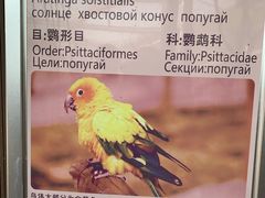 -燕塞湖鸟语林景区