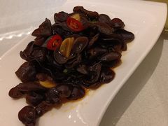 黑木耳-骏莱海鲜鱼港(五角场店)
