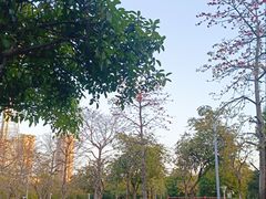 -文华公园(禅城区)