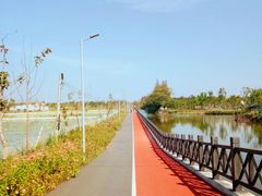 -上海长兴岛郊野公园