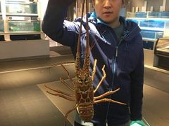 -盒马渔市(平高企业集团·平高广场店)