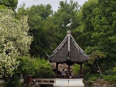 -上海醉白池公园