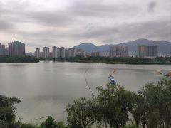 -飞来湖湿地公园
