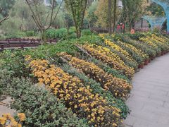 -成飞公园